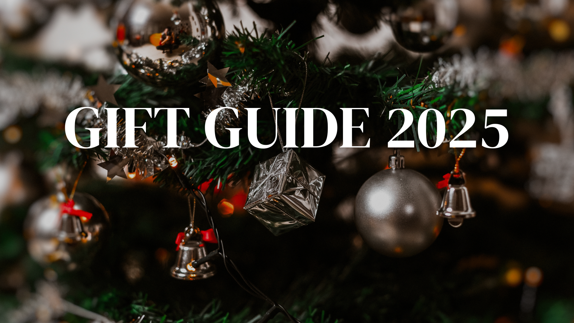 Gift Guide 2025